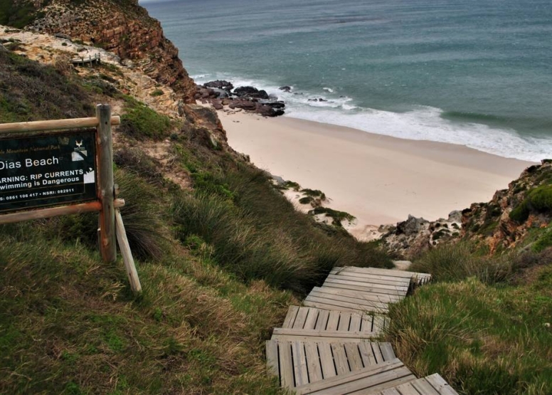 Cape Peninsula Full-Day Tour image 5