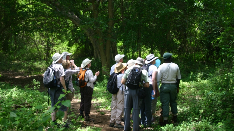 uMkhuze Fig Forest Walk image 2