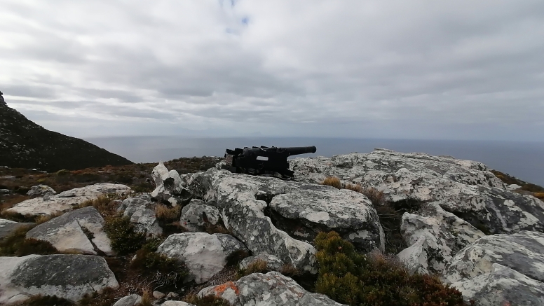 Cape Point Trail Run image 15