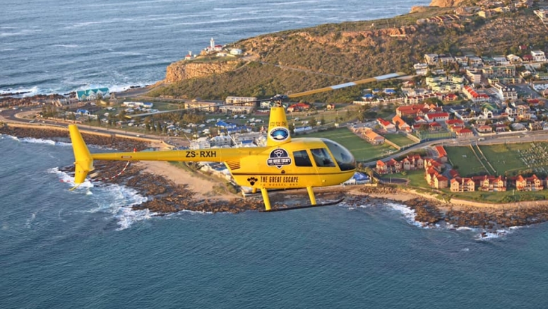 Helicopter scenic flight to Diaz Beach image 1