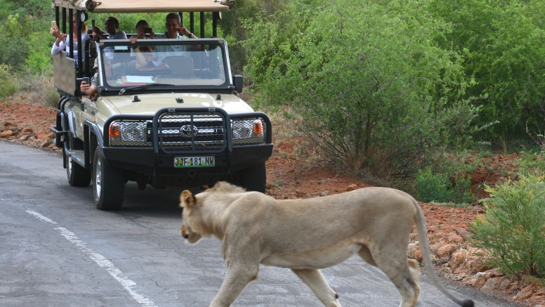 Private Game Drive Sun City - 10 Seater image 12