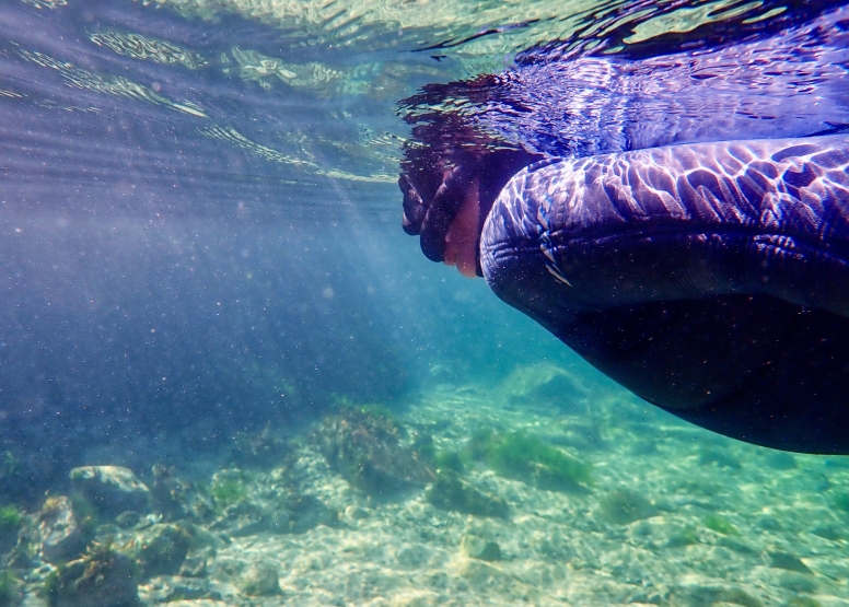 Snorkel Cape Town's Stunning Tidal Pools image 7