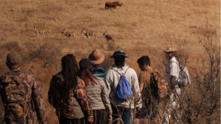 Savannah Trail Guided Walk Bothongo Rhino and Lion Nature Reserve image 2