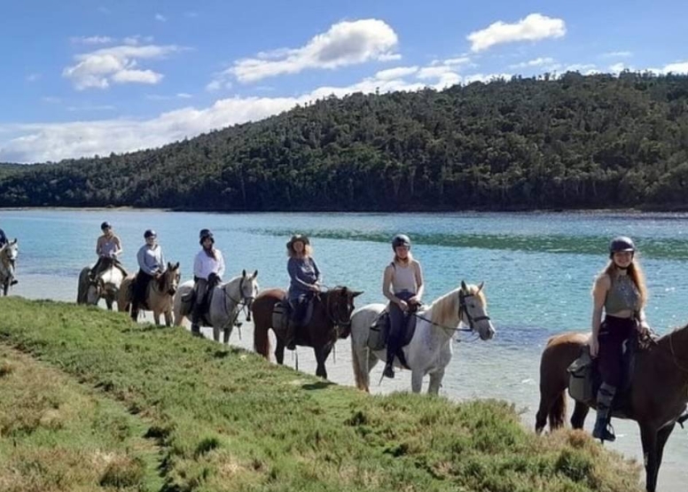 Kariega River Horse Ride image 2