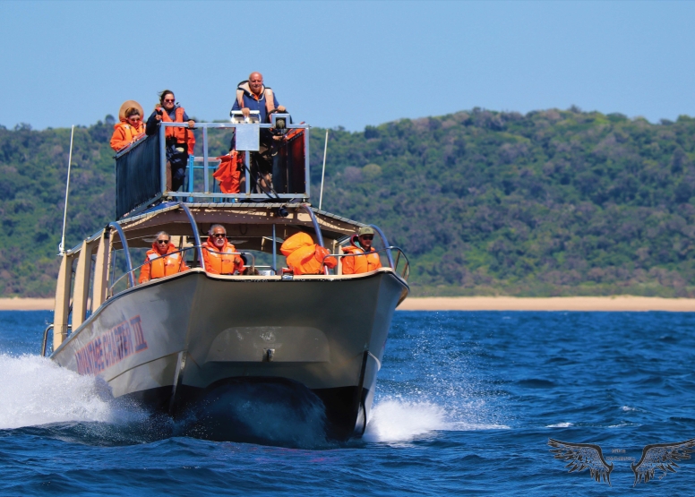 Whale & Dolphin Watching image 4