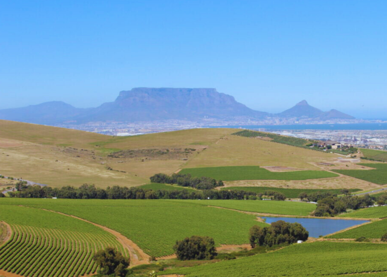 Wine Safari Tour-Southern Line image 6