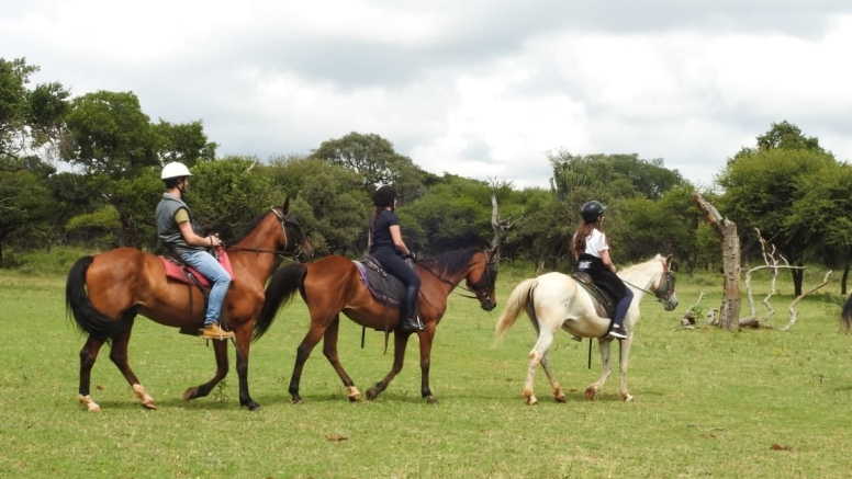 1 Hour Sunset Horse Ride Harties image 3