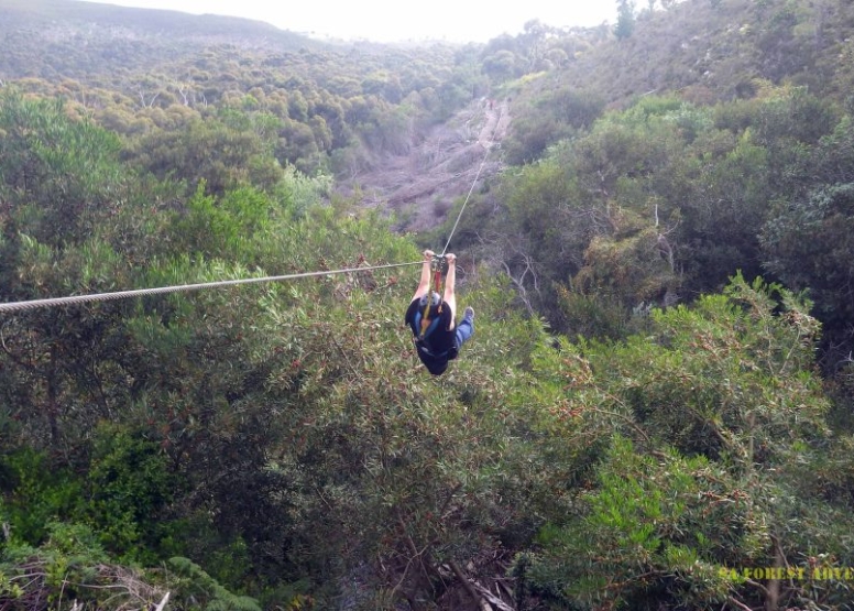 Tree Top Slides (Caledon) image 2