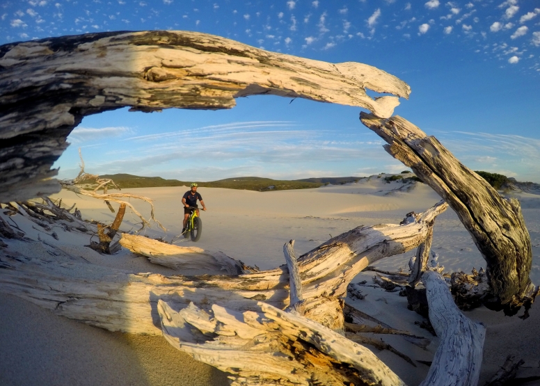 Fat Bike Tour Walker Bay Nature Reserve image 6