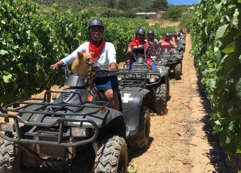 One Hour Quad Bike Trail Paarl, activity in
