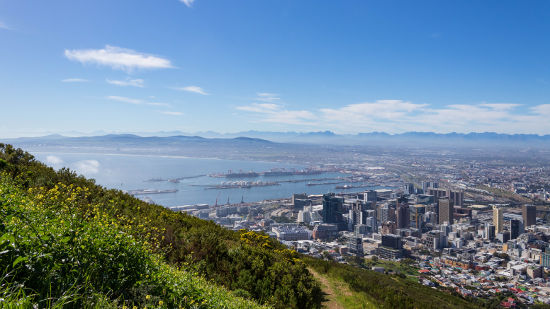 Full Day City & Winelands image 3