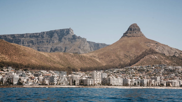 Coastal Cruise & Lunch Combo Cape Town image 6