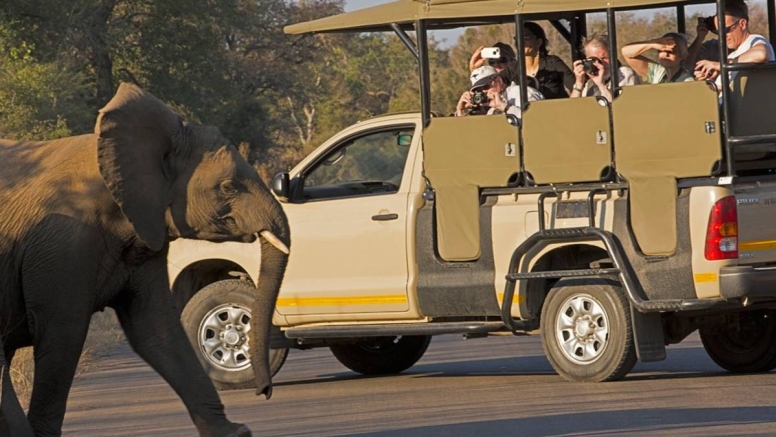 Afternoon KNP Open Vehicle Safaris image 3 Afternoon KNP Open Vehicle Safaris image 3