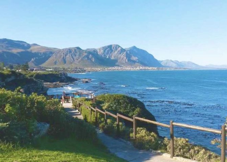 1 Day Sightseeing Tour Hermanus image 6