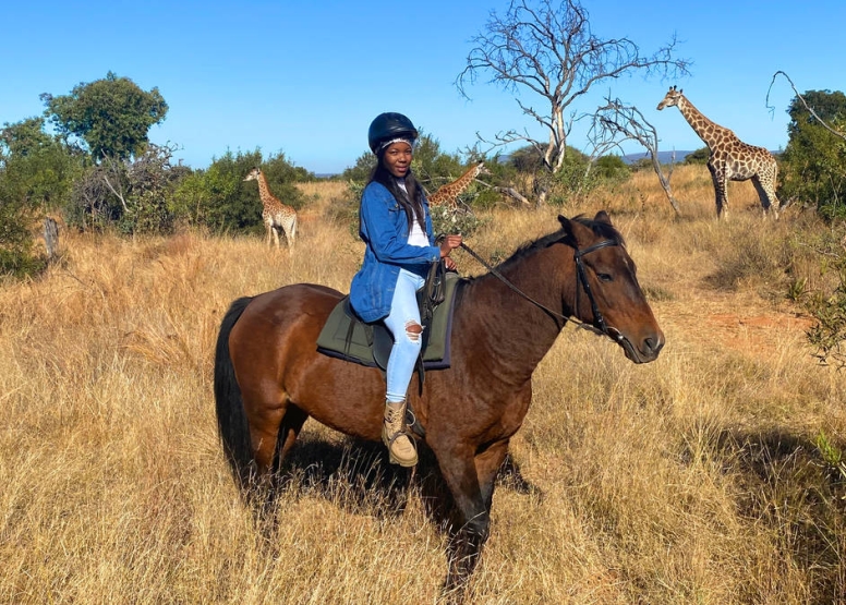 Sunset Horseback Safari image 7