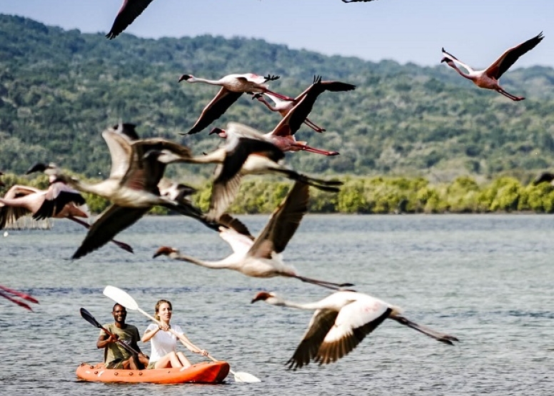 4 Hour Kosi Bay Kayaking Adventure image 2