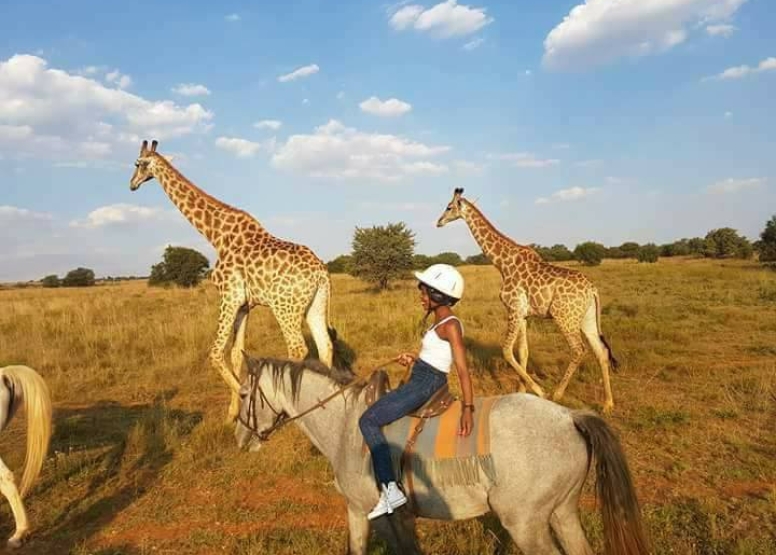 1 Hour Sunrise Safari Horse Ride Harties image 4