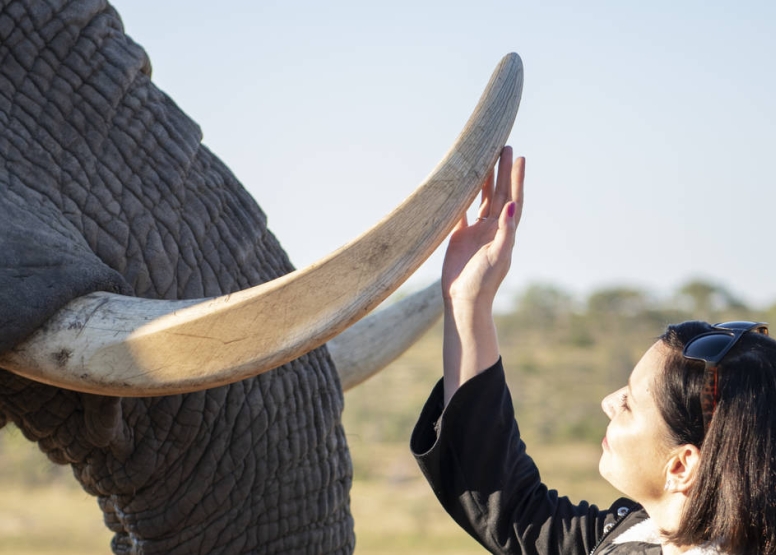 Elephant Moments at Jabulani Safari image 3