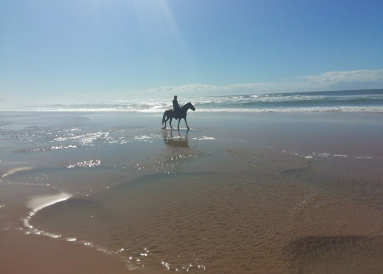 Full Day Beach Horse Ride image 3