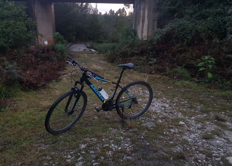 2 Hour Bike Rental image 1