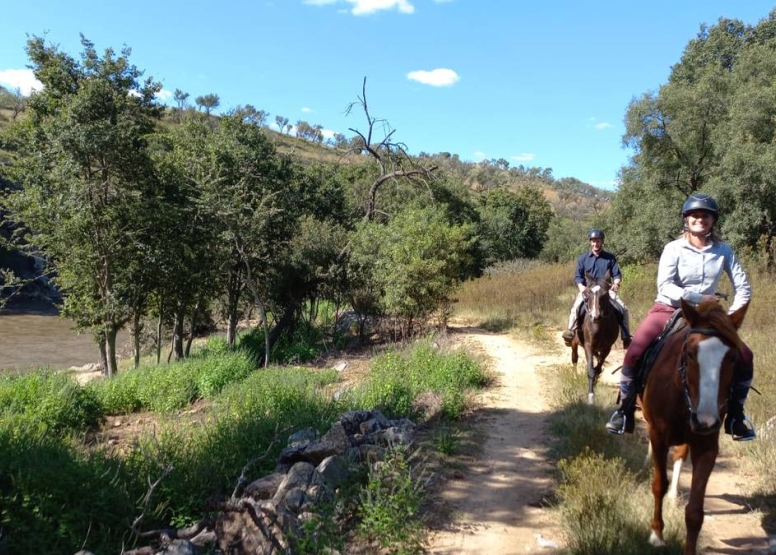 Sunset Horseback Safari image 3