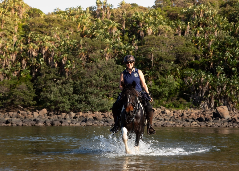 7 night 8 day Wild Coast Horse Trail our Signature Monthly Adventure Trail image 13