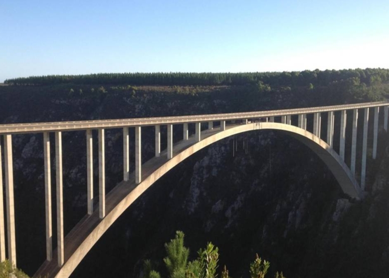 Bungy Jump Tour image 3