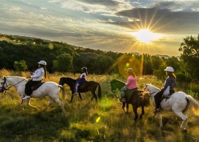 2 Hour Private Horse Riding Sunset Safari image 3