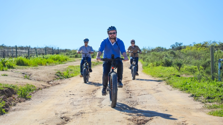 Electric Bike Winelands Tour image 4