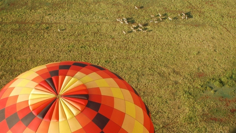 Classic Flight image 9