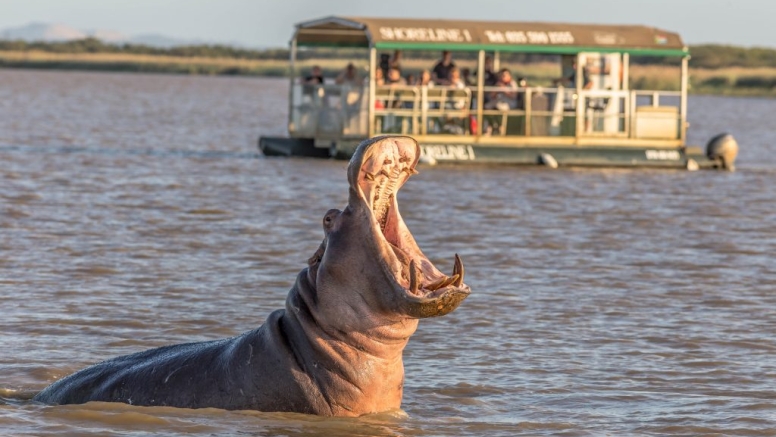 Hippo & Croc Boat Cruise image 8