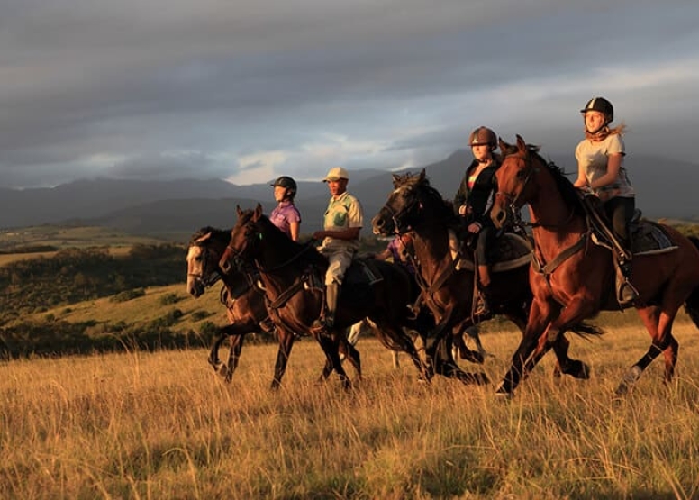 1 Hour Guided Horse Back Safari Beginners image 3