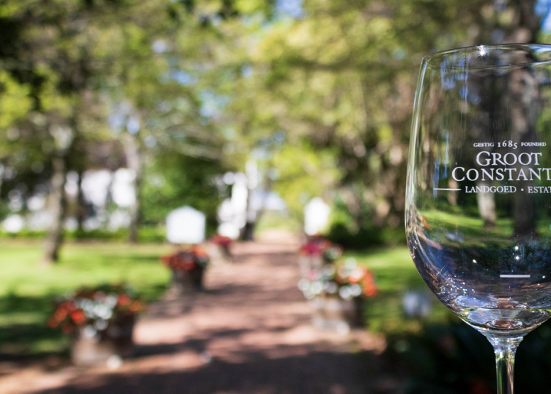Full Day City & Winelands image 5