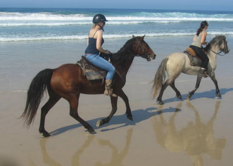 Beach Horse Trail Advanced image 3