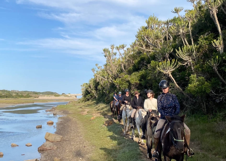 Kariega River Horse Ride image 10
