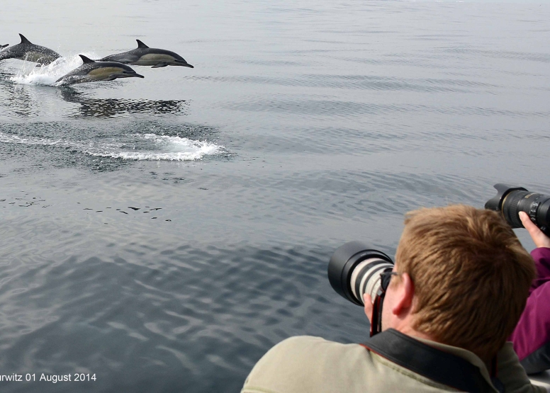 Cape Town Whale Watching Trip image 11