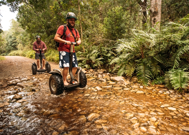 2 Hour Segway experience image 4