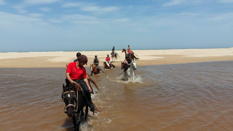 Full Day Beach Horse Ride image 5