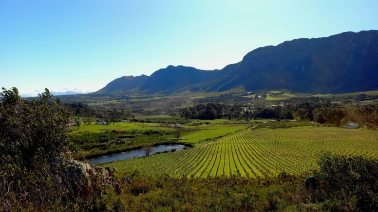 Full Day Hermanus image 6