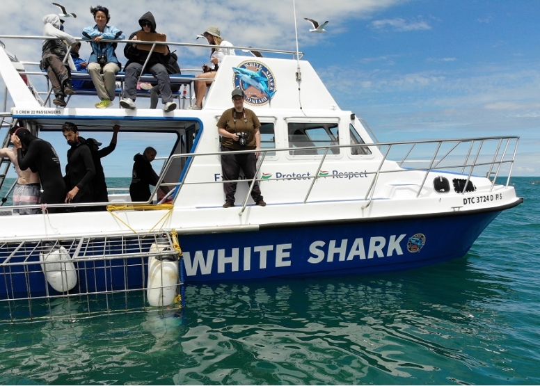 Shark Cage Diving in Gansbaai with White Shark Diving Company image 8