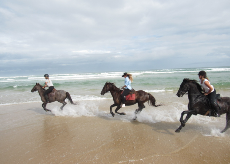 Full Day Beach Horse Ride image 9