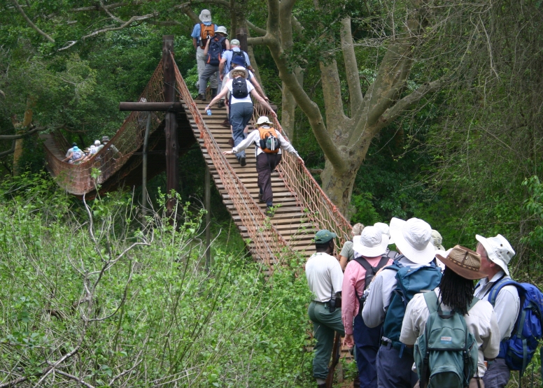 uMkhuze Fig Forest Walk image 5