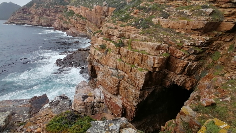 Cape Point Trail Run image 2