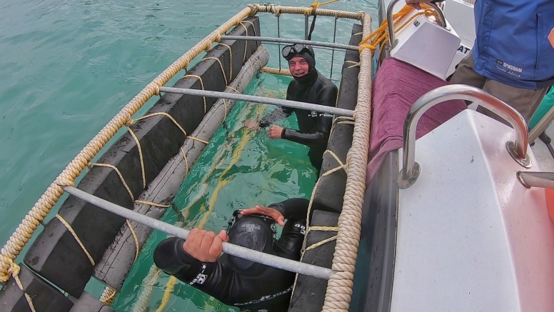 Gansbaai Shark Cage Diving Tour image 11