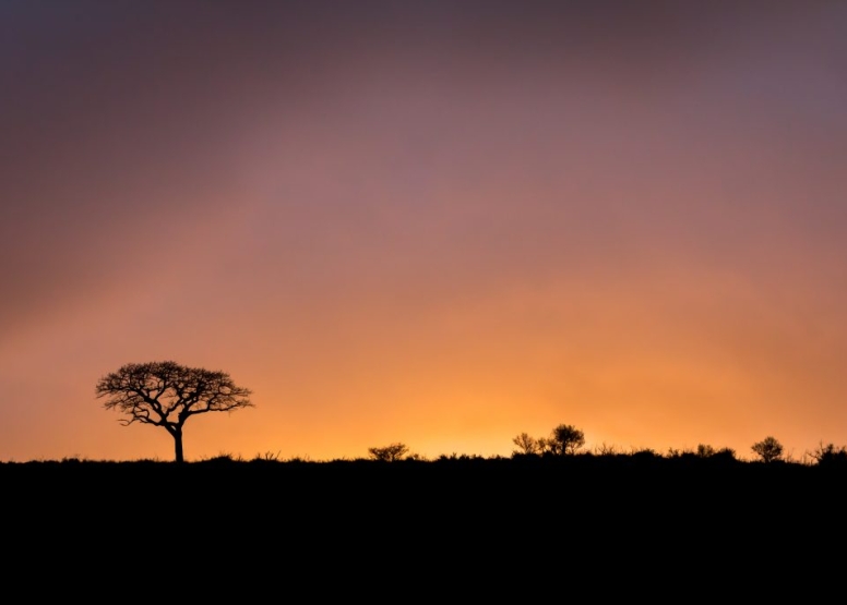 3 Hour Sunset Western Shores - Isimagaliso Wetland Park image 6