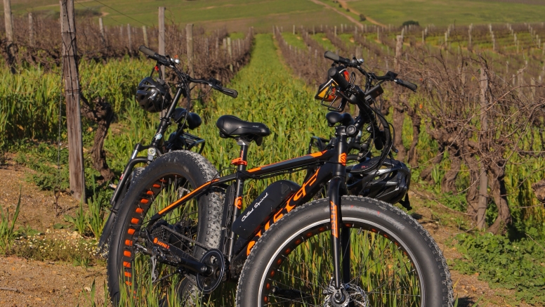 Electric Bike Winelands Tour image 3