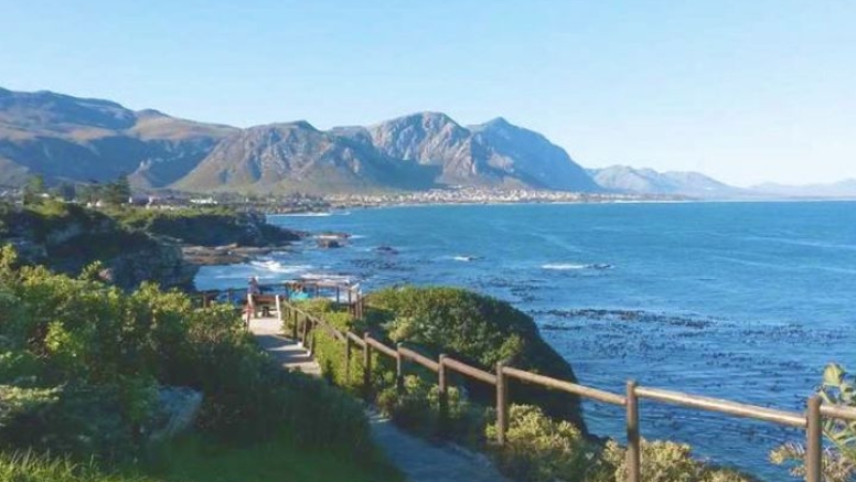 1 Day Sightseeing Tour Hermanus image 6