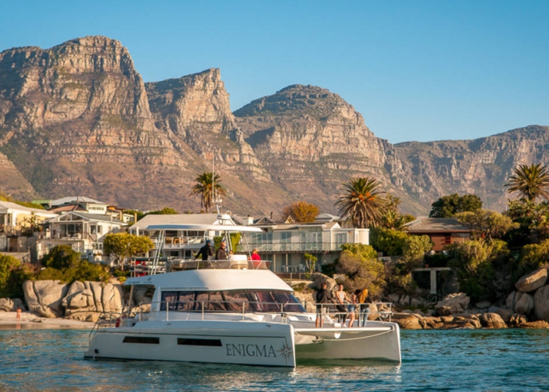 Coastal Cruise & Lunch Combo Cape Town image 5