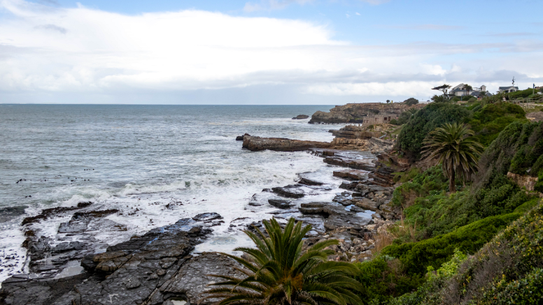 Full Day Hermanus image 1