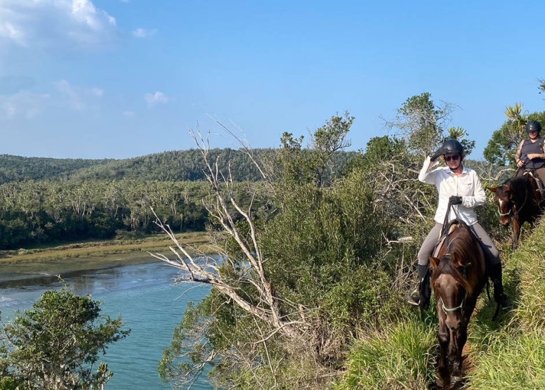 Kariega River Horse Ride image 8